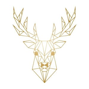 Men graphic tees Golden Deer